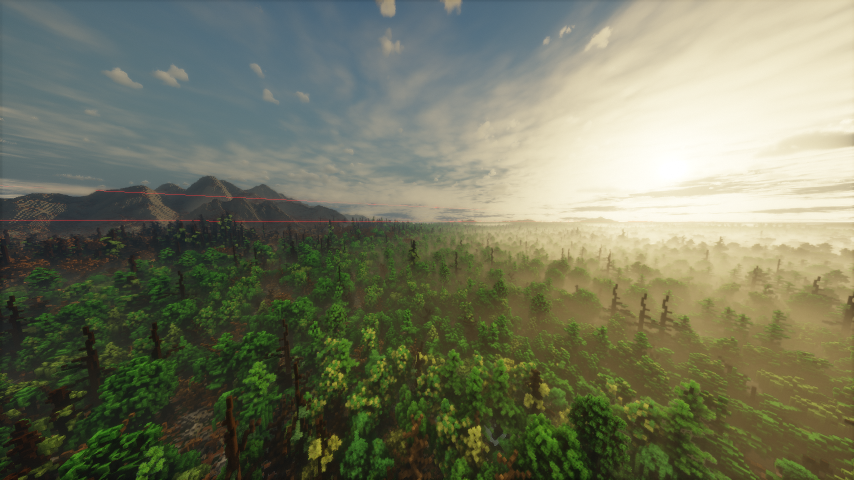 The Twilight Woods